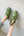 Women's Waterproof Low Top Rain Shoes with Bowknot