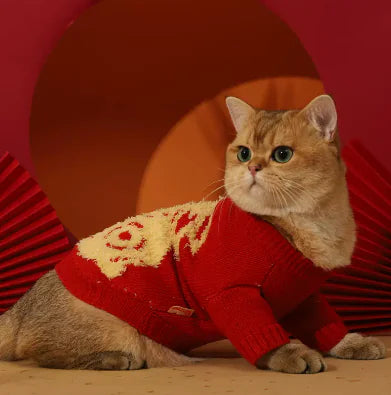 Autumn and Winter Sweaters for Shedding Kittens