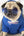 Woofwhite Fashion Bulldog Pet Hoodie for Fall/Winter