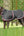 Warm Waterproof Jacket for Pets - Autumn & Winter
