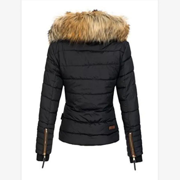 Fashionable Winter Women's Cotton Jacket with Hood