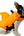 Shark Fin Life Jacket for Pets