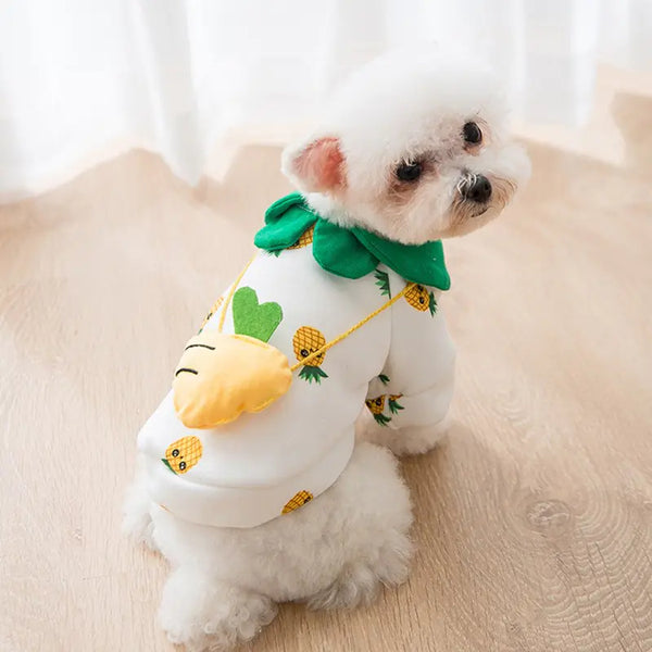Cute Cartoon Pet Clothes for Autumn and Winter Fashion