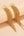 Long Drop Chain Earrings for Women - Elegant Gold Jewelry