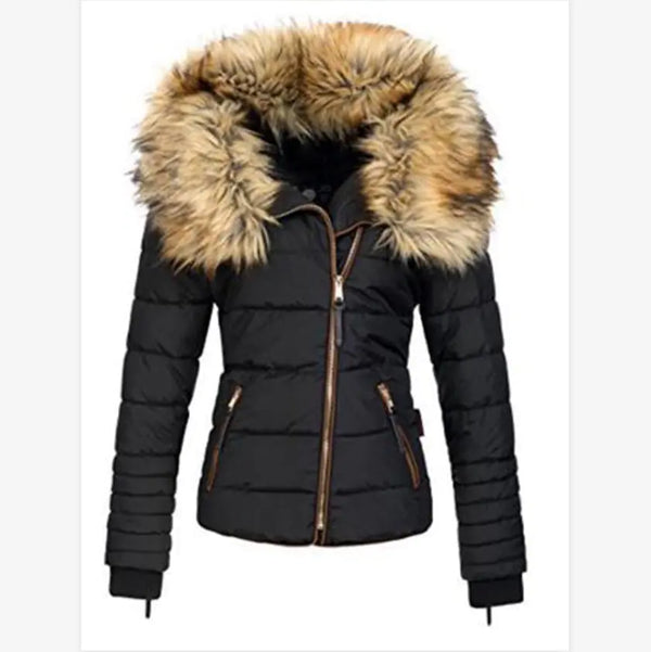 Fashionable Winter Women's Cotton Jacket with Hood