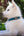 Dog Leash and Collar Set for Pets